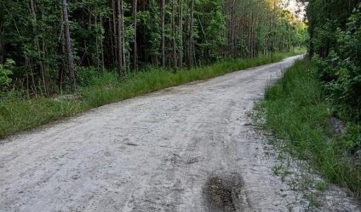 Photo #6 of 801 Brick Yard Road, Emporia, Virginia 10.0 acres