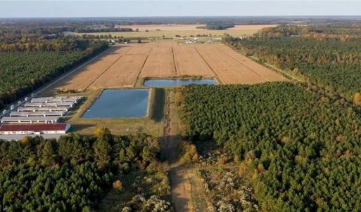 Photo #1 of 3515 Baum Road, Virginia Beach, Virginia 202.0 acres