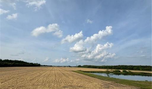 Photo #11 of 3515 Baum Road, Virginia Beach, Virginia 202.0 acres