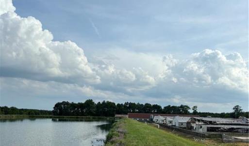 Photo #14 of 3515 Baum Road, Virginia Beach, Virginia 202.0 acres