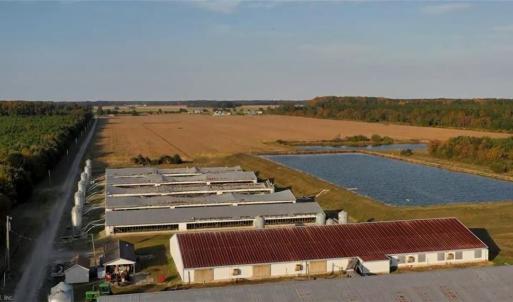 Photo #3 of 3515 Baum Road, Virginia Beach, Virginia 202.0 acres