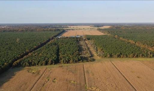 Photo #6 of 3515 Baum Road, Virginia Beach, Virginia 202.0 acres