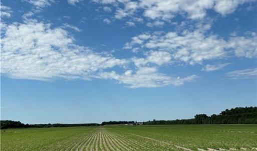 Photo #8 of 3515 Baum Road, Virginia Beach, Virginia 202.0 acres