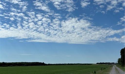 Photo #9 of 3515 Baum Road, Virginia Beach, Virginia 202.0 acres