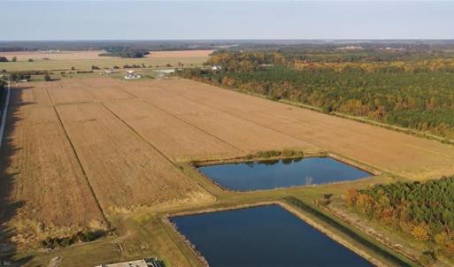 Photo #4 of 3515 Baum Road, Virginia Beach, Virginia 202.0 acres