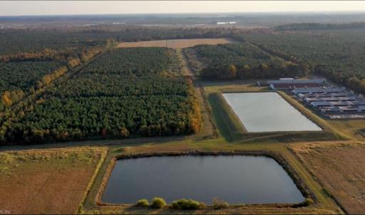 Photo #5 of 3515 Baum Road, Virginia Beach, Virginia 202.0 acres