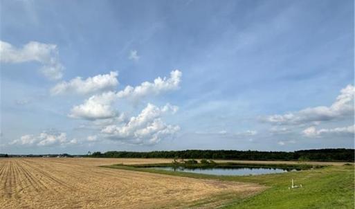 Photo #10 of 3515 Baum Road, Virginia Beach, Virginia 202.0 acres