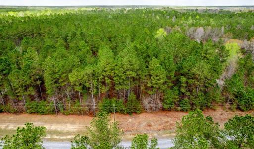 Photo #3 of 3+ac Spring Farm Road, Dendron, Virginia 4.0 acres