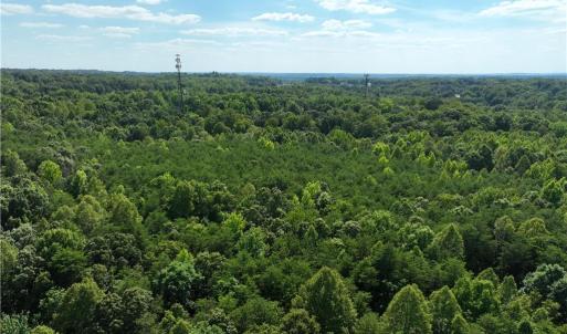 Photo #11 of Blue Jay Street, Danville, Virginia 42.9 acres