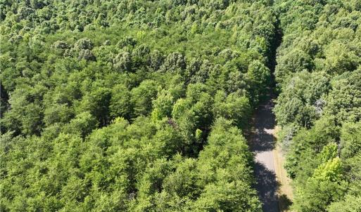 Photo #13 of Blue Jay Street, Danville, Virginia 42.9 acres