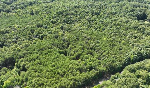 Photo #14 of Blue Jay Street, Danville, Virginia 42.9 acres