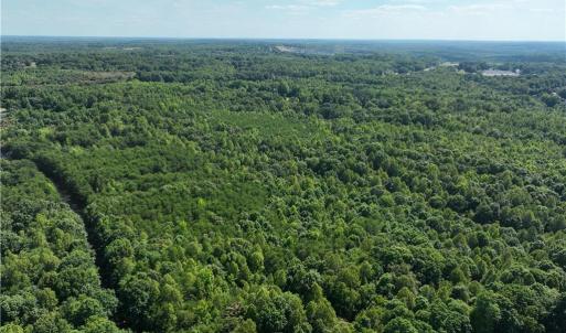 Photo #15 of Blue Jay Street, Danville, Virginia 42.9 acres