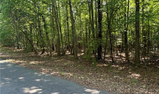 Photo #6 of Blue Jay Street, Danville, Virginia 42.9 acres