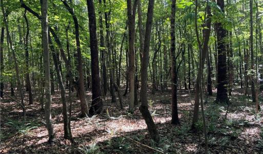 Photo #7 of Blue Jay Street, Danville, Virginia 42.9 acres