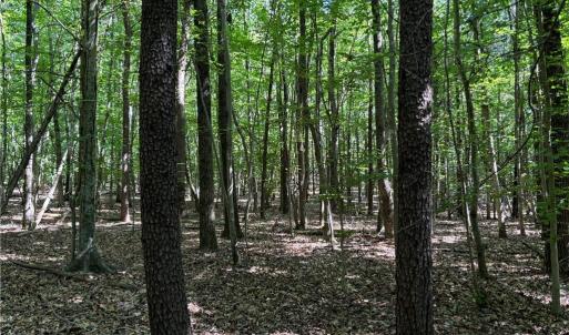 Photo #9 of Blue Jay Street, Danville, Virginia 42.9 acres