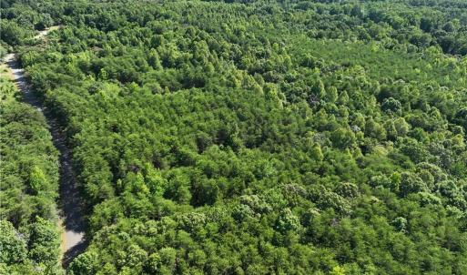 Photo #10 of Blue Jay Street, Danville, Virginia 42.9 acres