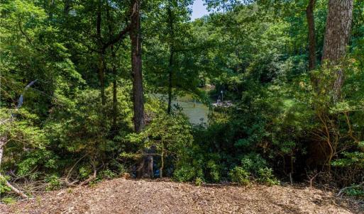 Just a little limbing up to open creek views