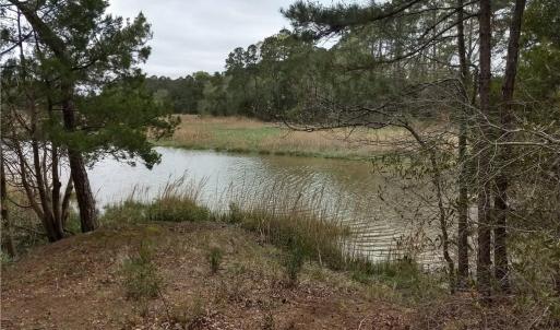 Photo #3 of 1 Gayle Way, Carrollton, Virginia 4.0 acres