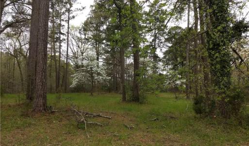 Photo #4 of 1 Gayle Way, Carrollton, Virginia 4.0 acres