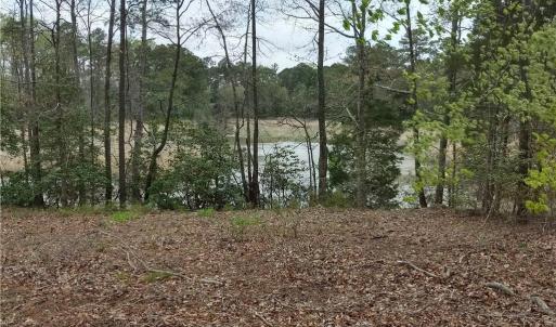 Photo #6 of 1 Gayle Way, Carrollton, Virginia 4.0 acres