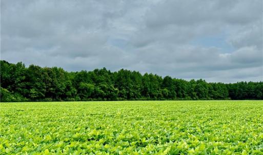 Photo #1 of 1524 Gum Bridge Road, Virginia Beach, Virginia 47.4 acres