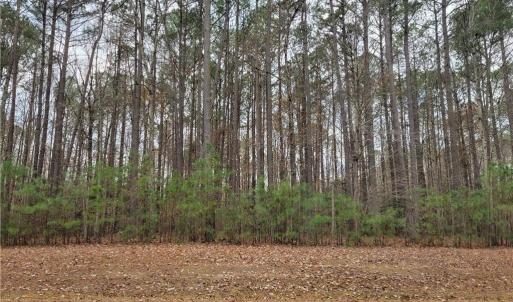 Photo #10 of 15095 Shore Drive, Smithfield, Virginia 5.0 acres