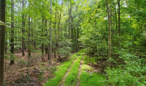 Photo #2 of 6.3 AC Harris Creek Road, Hampton, Virginia 6.3 acres