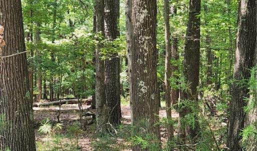 Harris Creek Road Hampton VA 6.3 acres.  Private setting