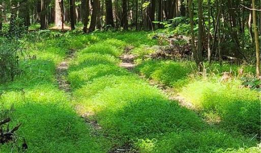 Harris Creek Road 6.3 Acres Hampton VA