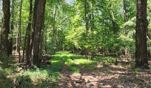 Harris Creek Road Hampton VA 6.3 acres