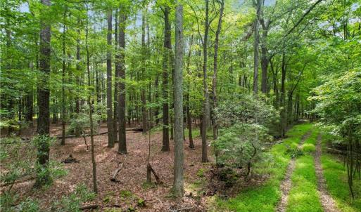 Photo #3 of 6.3 AC Harris Creek Road, Hampton, Virginia 6.3 acres