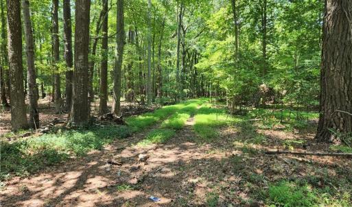 Harris Creek 6.3 acres Hampton VA. This property backs up to Howe Farms Subdivision
