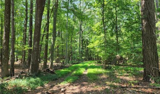 548 feet road frontage. Harris Creek 6.3 Acres Hampton VA.  Build your dream home here.