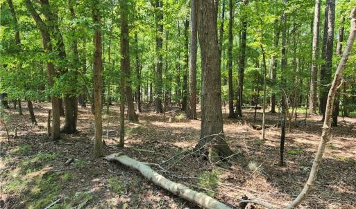 548 x 200 Harris Creek Road 6.3 Acres.  Builders note: potential to build multiple homes.