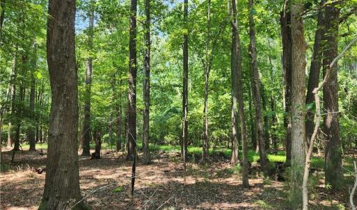 Harris Creek Road Hampton VA 6.3 Acres.  Build your private home here nestled in the woods.