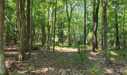 Harris Creek Road 6.3 Acres in Hampton Va