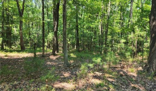Harris Creek Road 6.3 Acres in Hampton VA