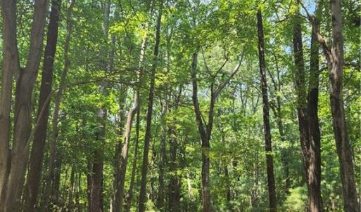 Harris Creek Road 6.3 Acres in Hampton VA