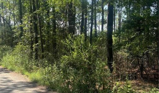 Photo #1 of 14+ac Harris Creek Road, Hampton, Virginia 14.6 acres
