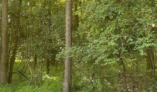 Photo #1 of 4700 Elizabeth Harbor Drive, Chesapeake, Virginia