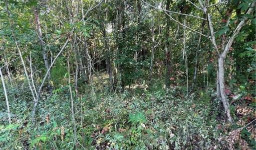 Photo #4 of 101 Kickapoo Trail, Edenton, North Carolina 0.2 acres