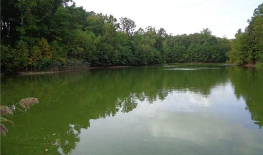 Photo #3 of 3.25AC Morgarts Beach Road, Smithfield, Virginia 3.3 acres