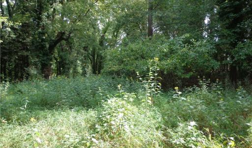 Photo #6 of 3.25AC Morgarts Beach Road, Smithfield, Virginia 3.3 acres
