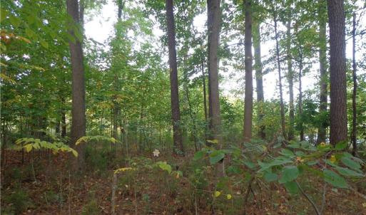 Photo #7 of 3.25AC Morgarts Beach Road, Smithfield, Virginia 3.3 acres