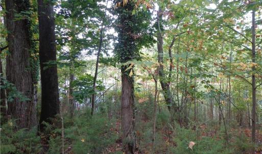 Photo #8 of 3.25AC Morgarts Beach Road, Smithfield, Virginia 3.3 acres