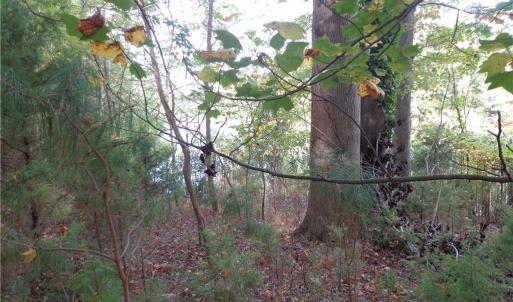 Photo #2 of 2.81AC Morgarts Beach Road, Smithfield, Virginia 2.8 acres