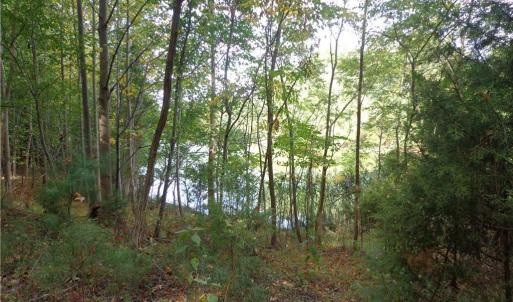 Photo #3 of 2.81AC Morgarts Beach Road, Smithfield, Virginia 2.8 acres