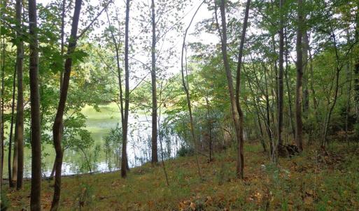 Photo #4 of 2.81AC Morgarts Beach Road, Smithfield, Virginia 2.8 acres