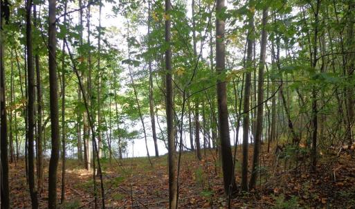 Photo #5 of 2.81AC Morgarts Beach Road, Smithfield, Virginia 2.8 acres