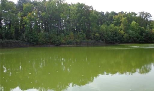 Photo #9 of 2.81AC Morgarts Beach Road, Smithfield, Virginia 2.8 acres